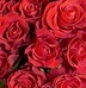  Букет красных роз \"Шкала любви\". Количество роз указываете Вы! 